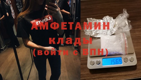 шишки Алзамай