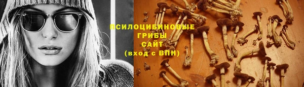 соль ск Алексеевка