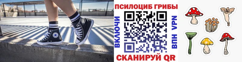 blacksprut ТОР  Кольчугино  Псилоцибиновые грибы Psilocybine cubensis 